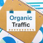 Organic Traffic SEO